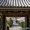 4月3日 浄妙寺