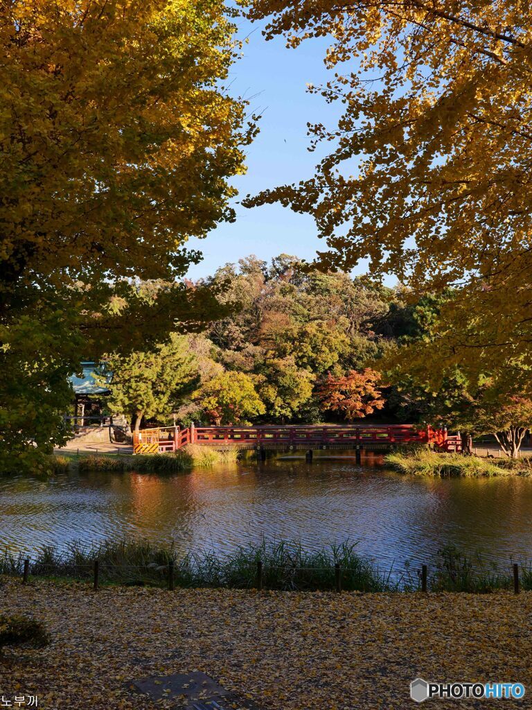 近所のお寺、称名寺