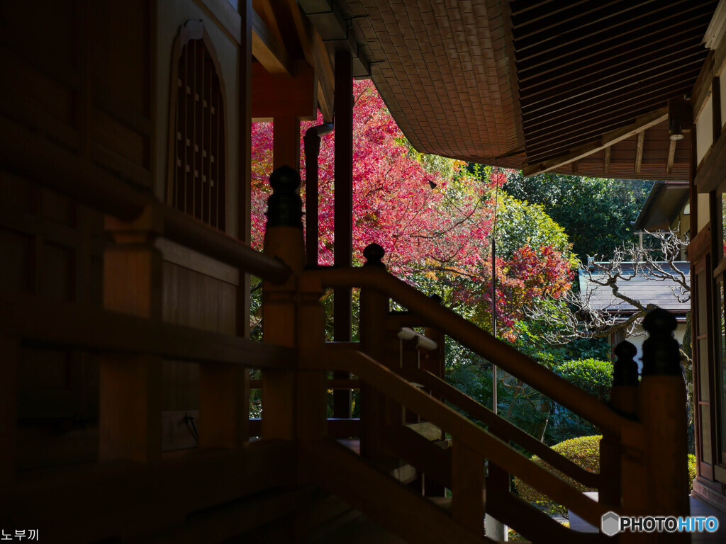 二日ぶりに鎌倉へ 浄明寺