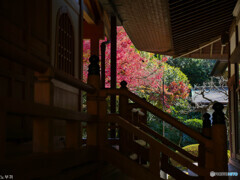 二日ぶりに鎌倉へ 浄明寺