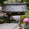 4月3日 浄妙寺