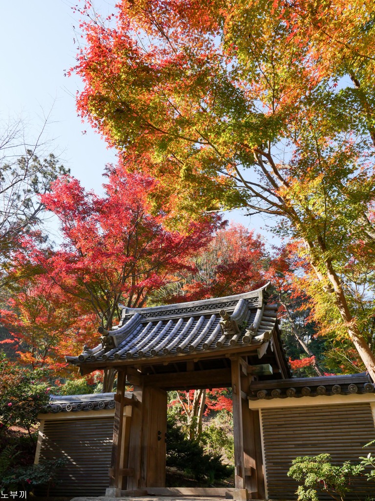 横浜 三渓園-4
