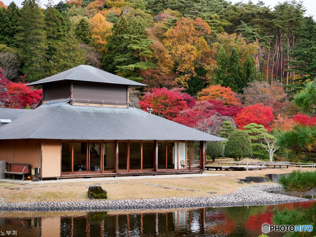 素晴らしい日本庭園の秋