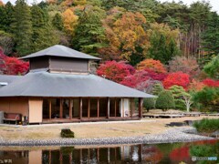 素晴らしい日本庭園の秋