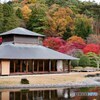 素晴らしい日本庭園の秋
