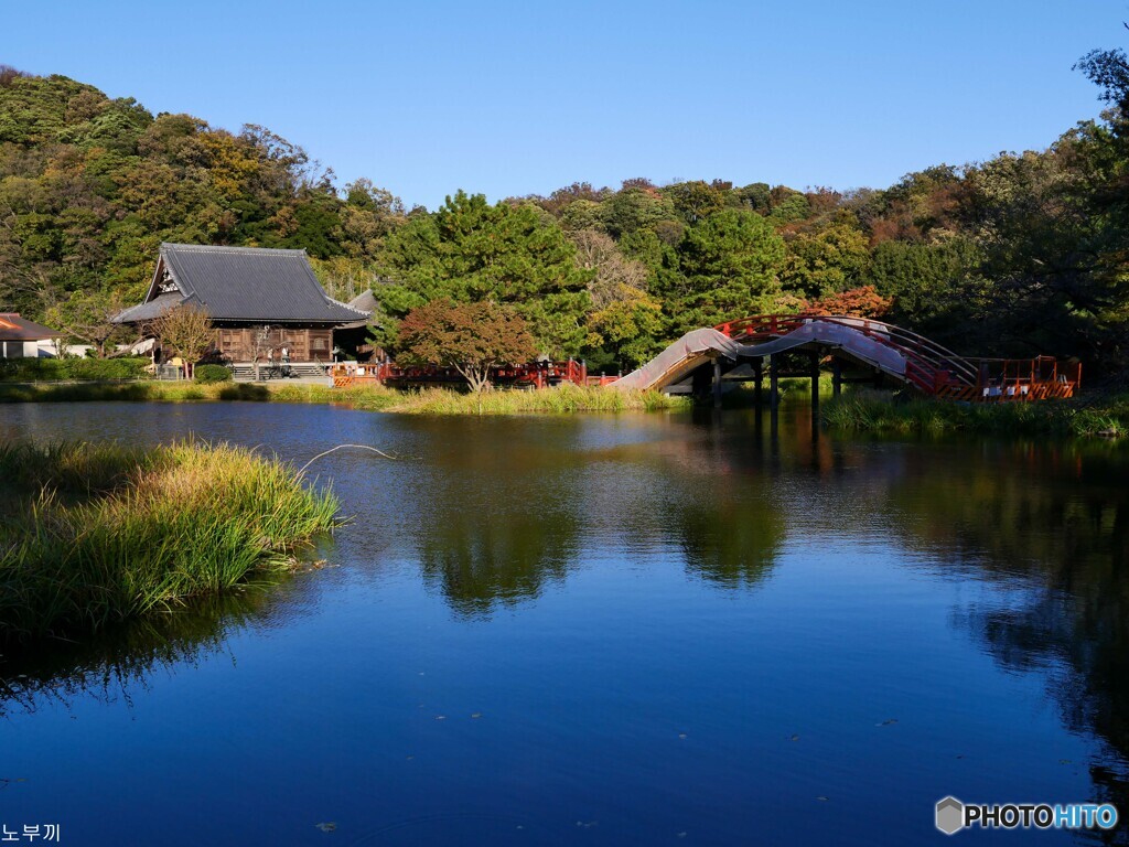 近所のお寺、称名寺