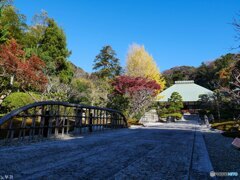 二日ぶりに鎌倉へ 浄明寺