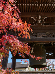 鎌倉 本覚寺-1