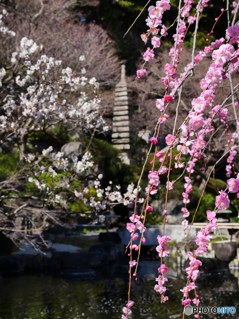 長谷寺の真骨頂