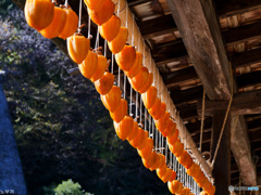 川崎市 民家園-3