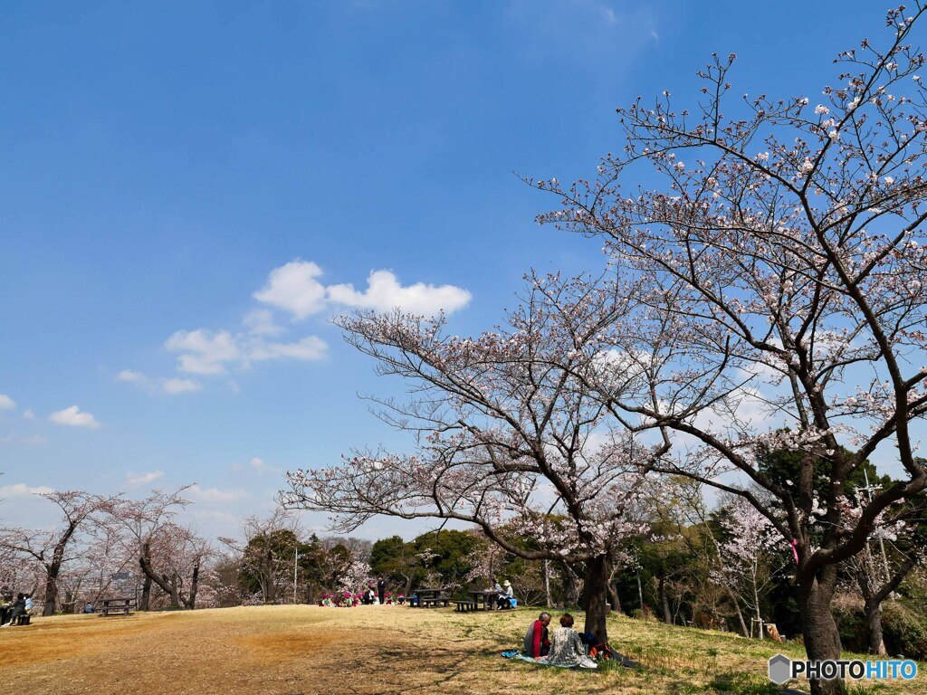 うらやましいお花見