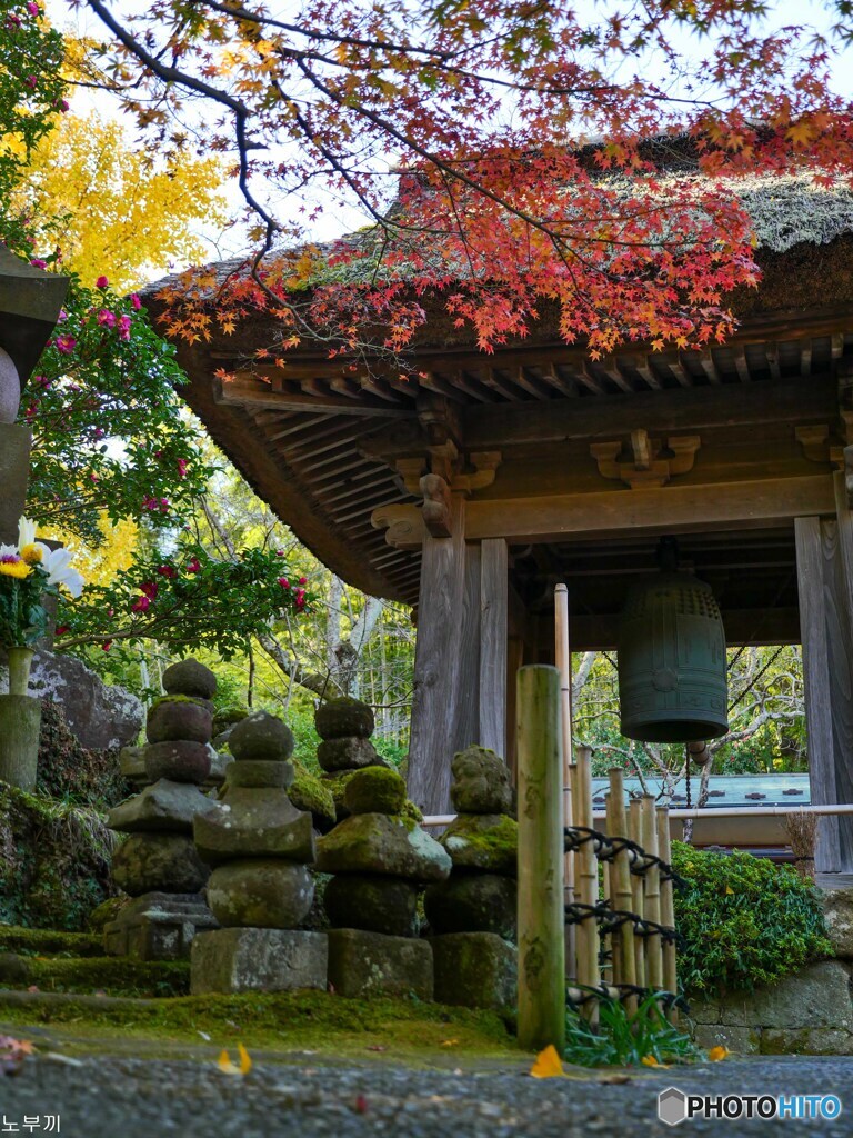 報国寺
