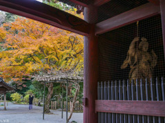 鎌倉 妙本寺-4