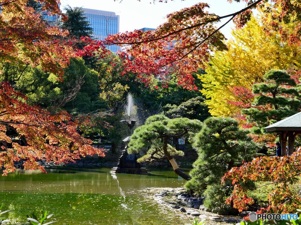 日比谷公園-2