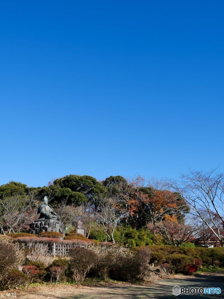 鎌倉小景 2021 源氏山公園