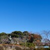 鎌倉小景 2021 源氏山公園