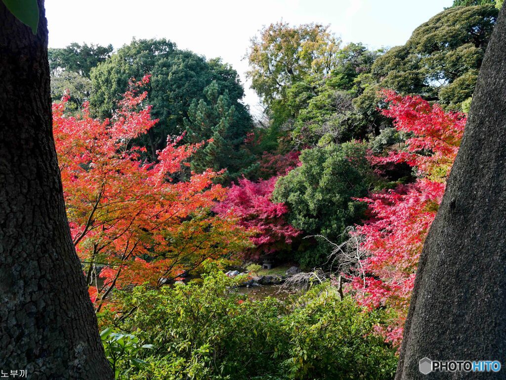 野毛山公園