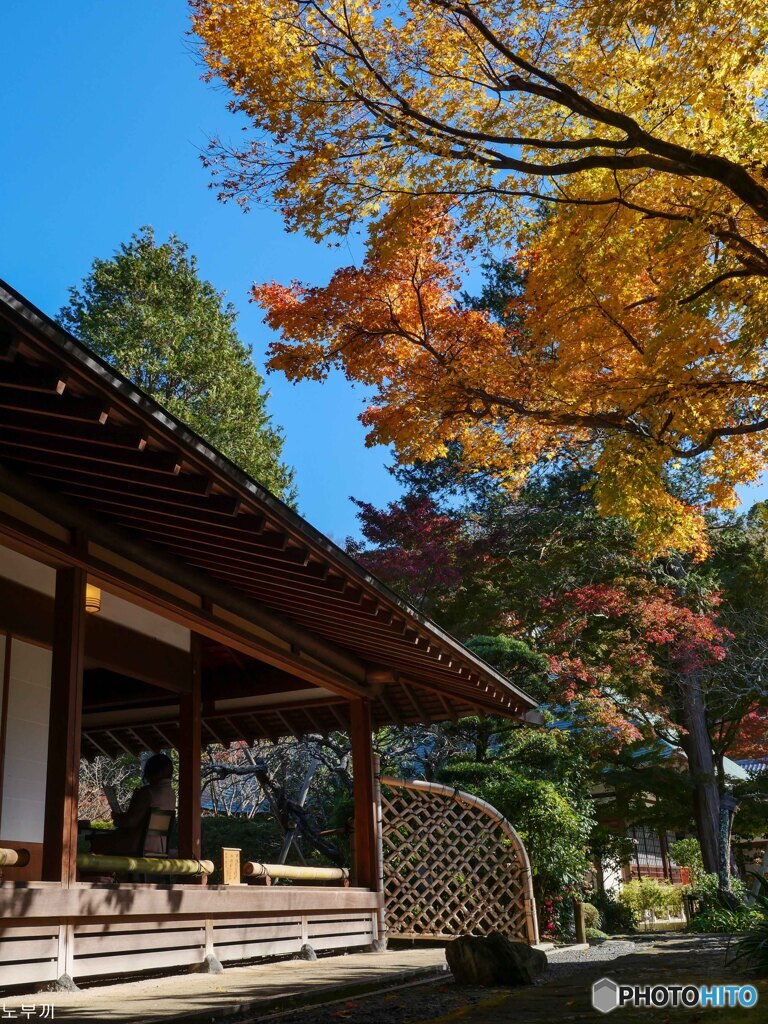 二日ぶりに鎌倉へ 浄明寺