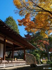 二日ぶりに鎌倉へ 浄明寺