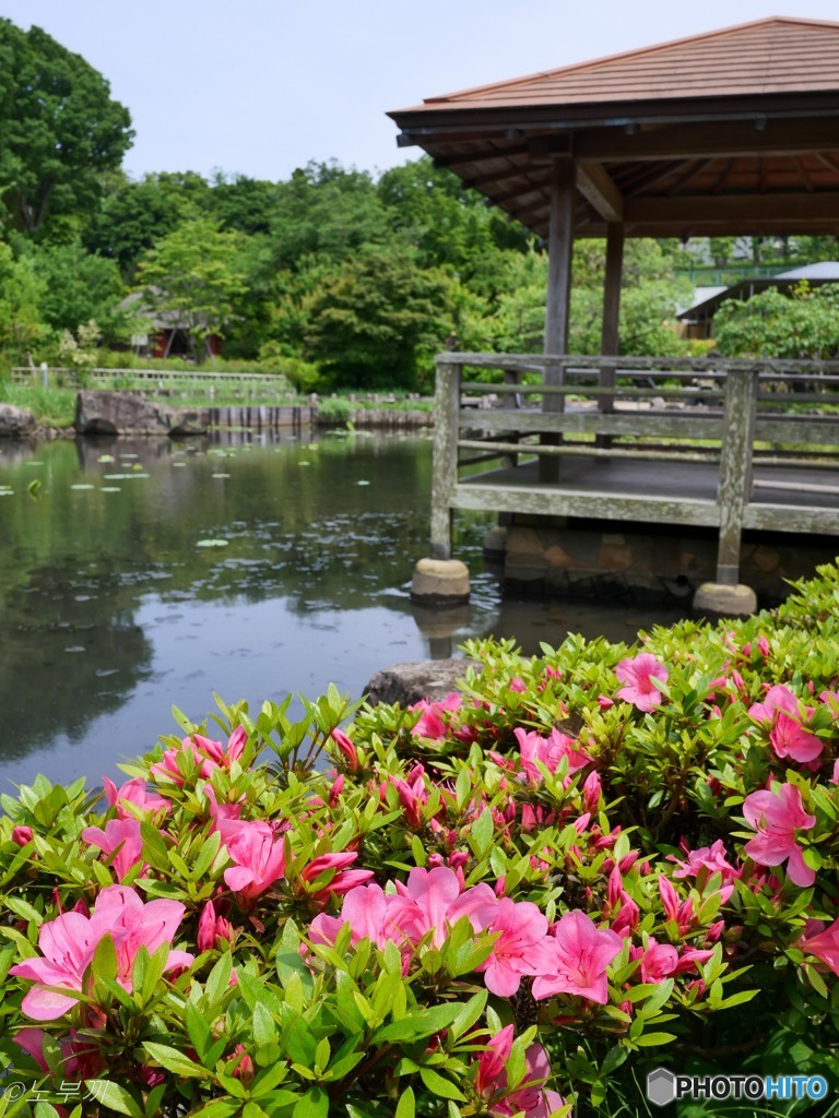 花木園に憩う