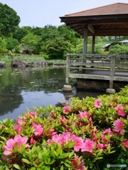 花木園に憩う