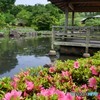 花木園に憩う