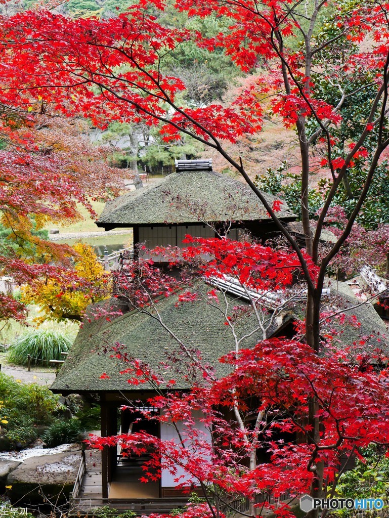 三渓園 横浜-3
