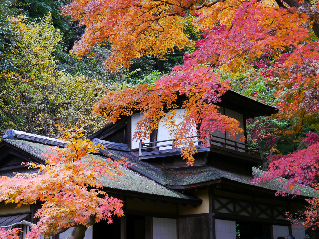 横浜 三渓園-2