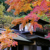 横浜 三渓園-2