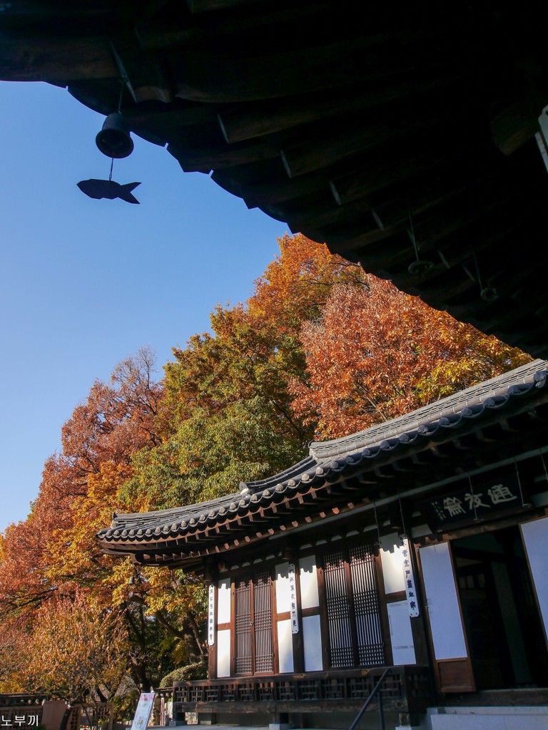 三ッ池公園コリア庭園 横浜-1