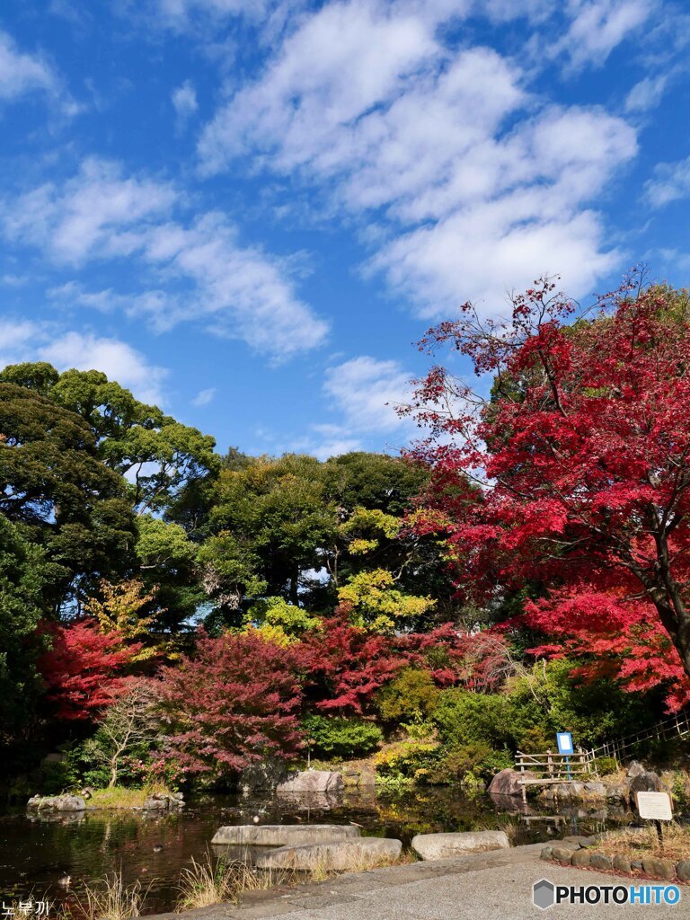 野毛山公園