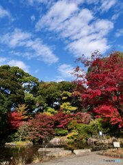 野毛山公園