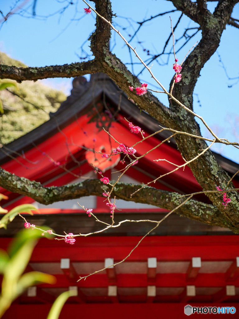 天神さま
