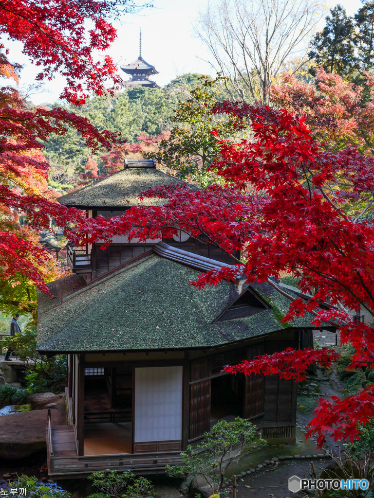 横浜 三渓園-2