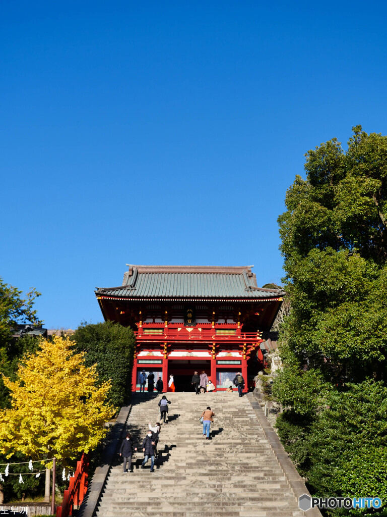 鎌倉で一番の混雑 八幡宮