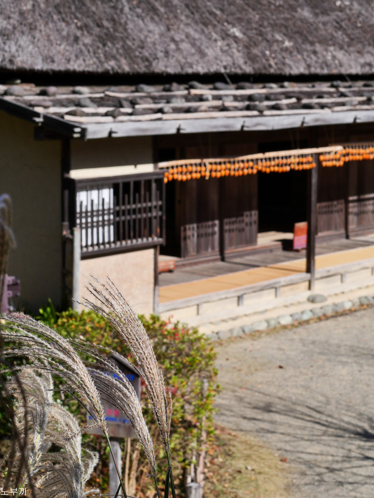 川崎市 日本民家園-9