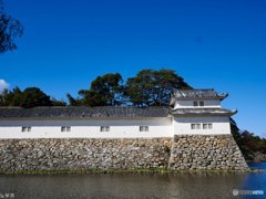 国宝 彦根城-3
