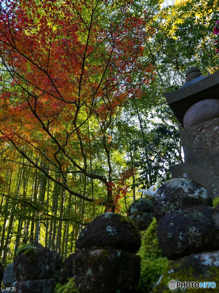報国寺