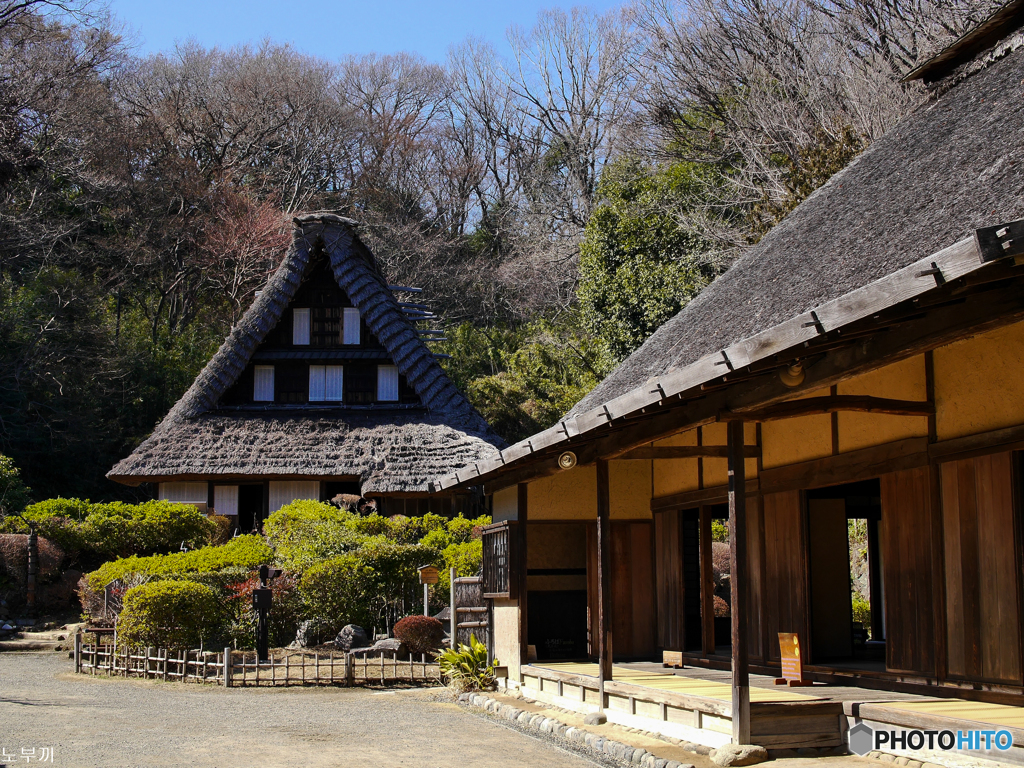 早春の日本民家園 川崎市-2