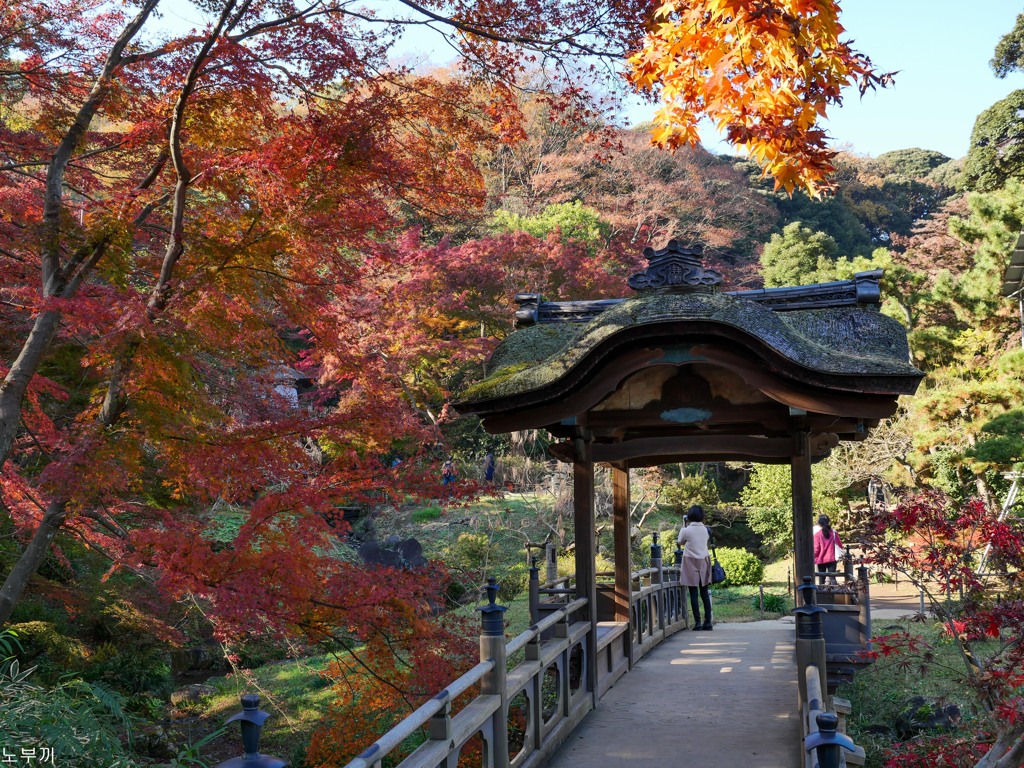 横浜 三渓園-8