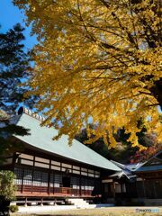 二日ぶりに鎌倉へ 浄明寺