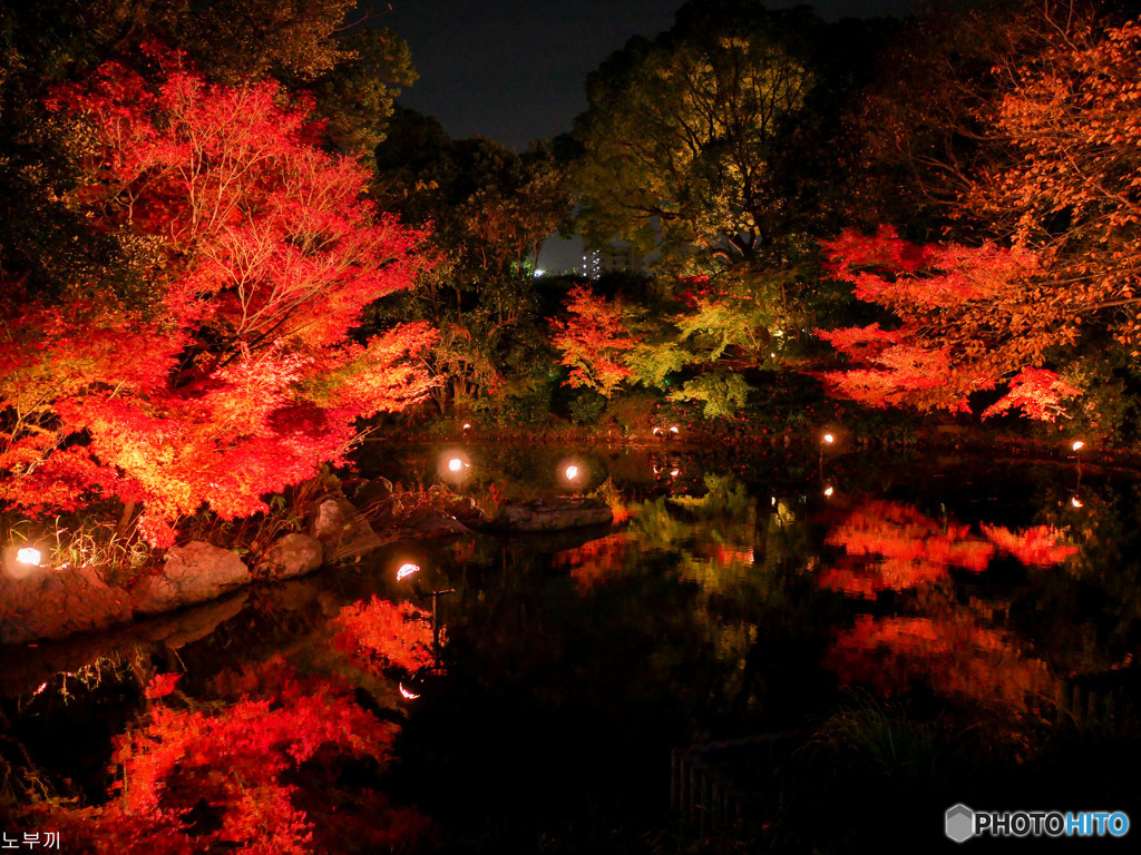 白鳥庭園 名古屋 - 1