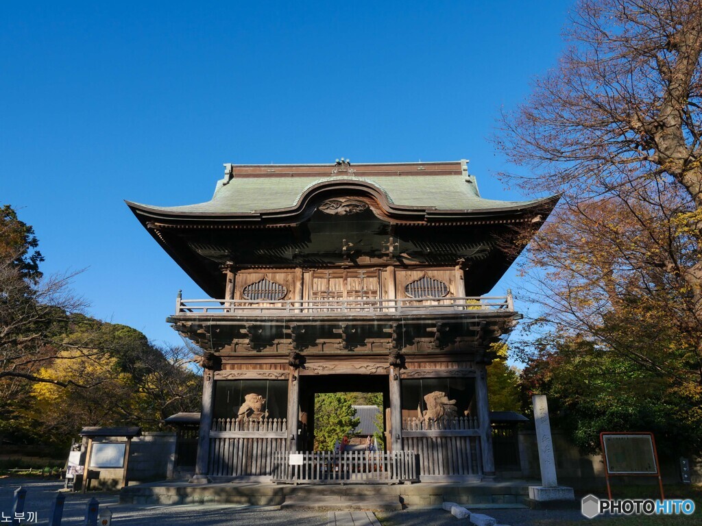 近所のお寺、称名寺