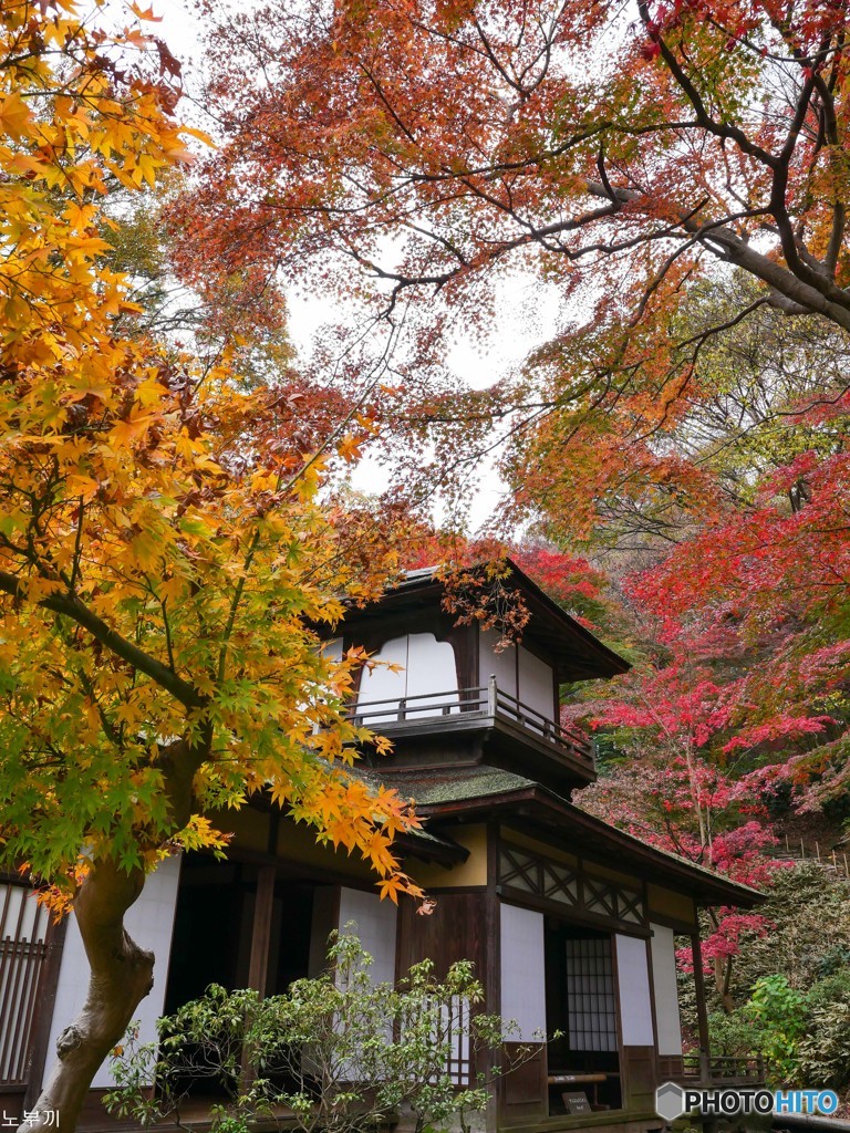 三渓園 横浜-2