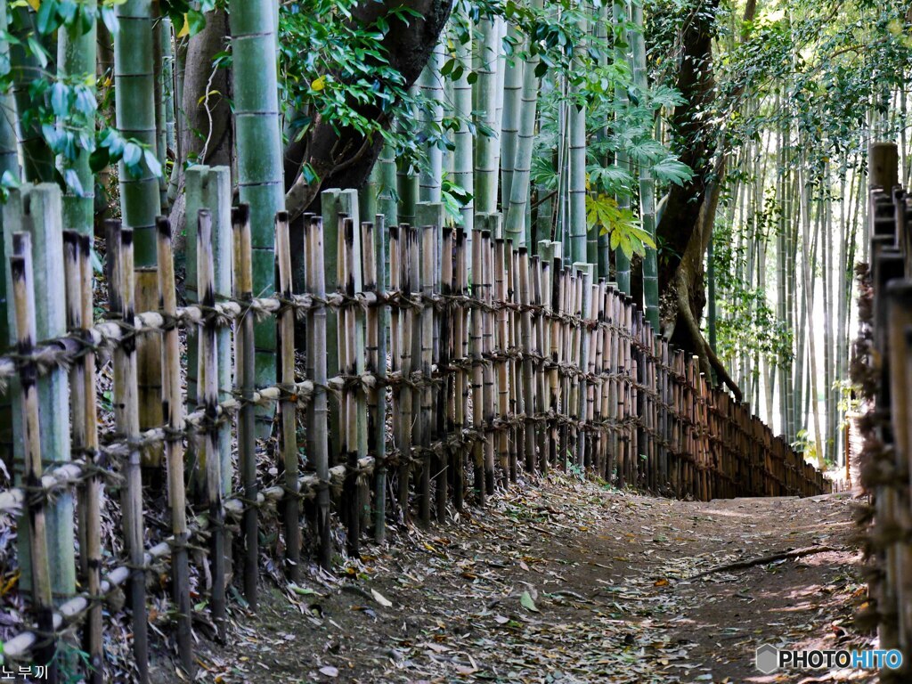 サムライが駆け抜ける小道