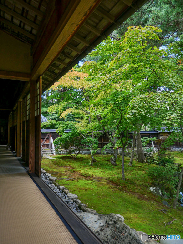新発田 清水園 2