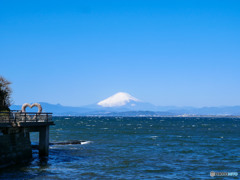 何年ぶりかな？の江ノ島