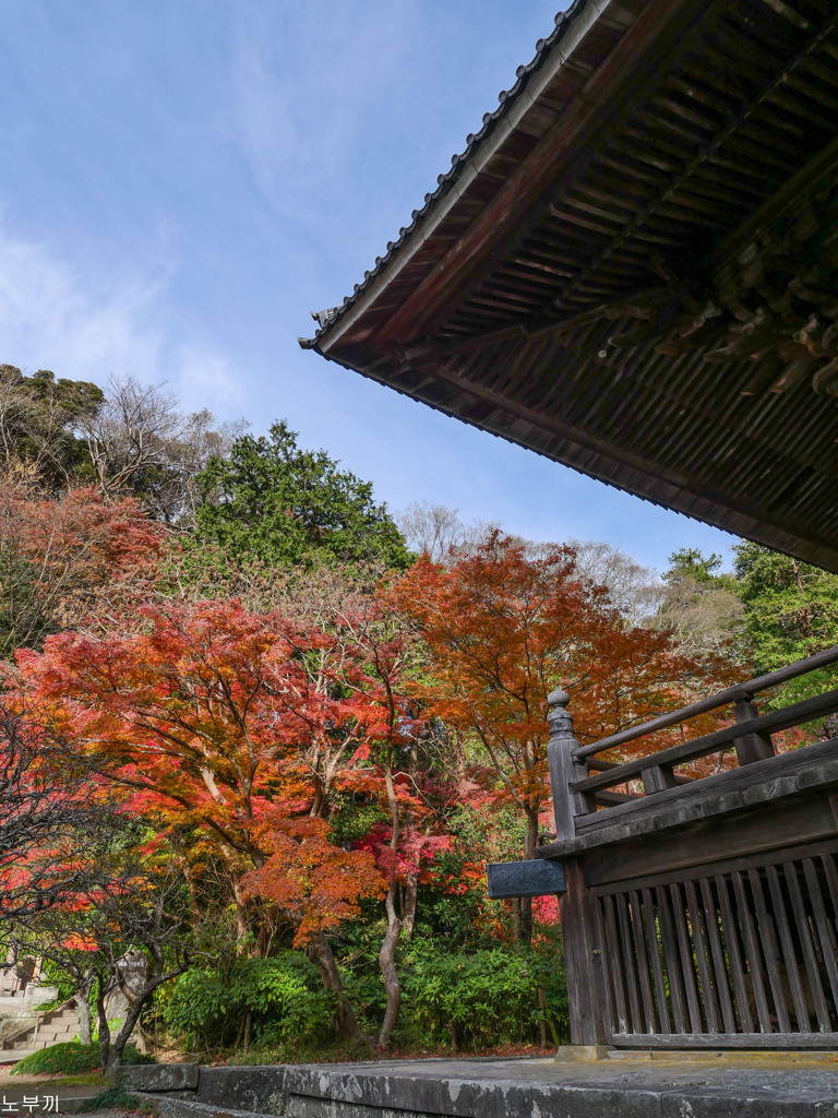 鎌倉 妙本寺-7