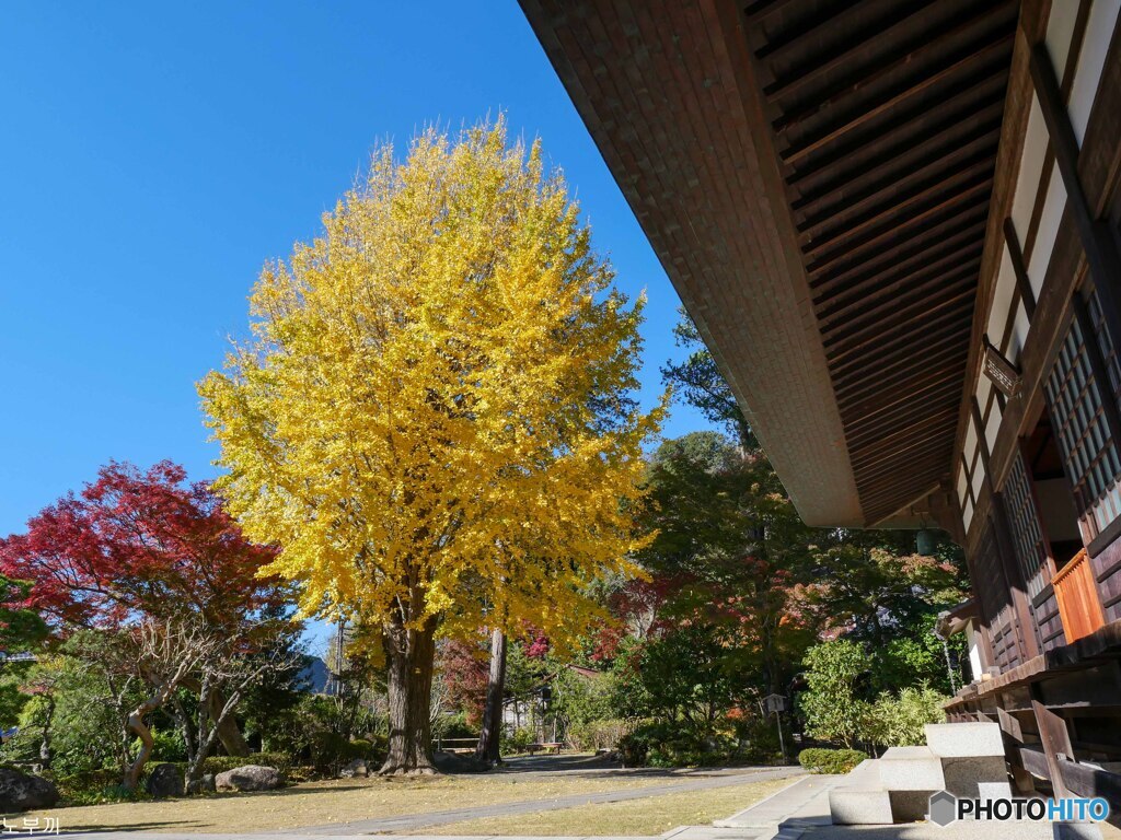 二日ぶりに鎌倉へ 浄明寺