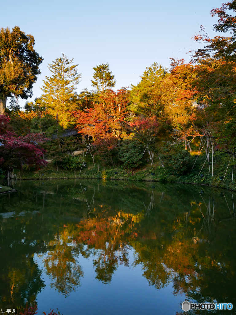 晩秋 京都-2